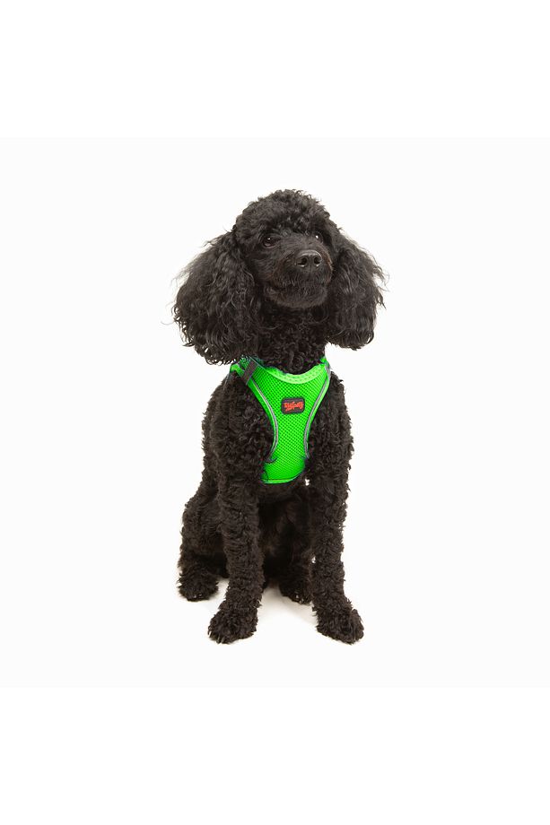 Kedi Köpek Air-Mesh Göğüs Tasması ve Gezdirme Sevk Kayışı Seti 2Sİ1 ARADA Neon Yeşil - 8