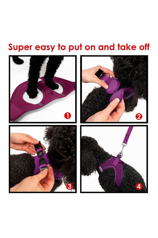 Kedi Köpek Air-Mesh Göğüs Tasması ve Gezdirme Sevk Kayışı Seti 2Sİ1 ARADA Mor - 7