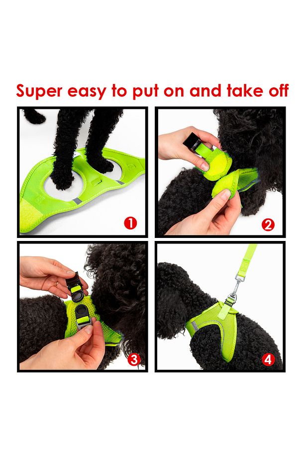 Kedi Köpek Air-Mesh Göğüs Tasması ve Gezdirme Sevk Kayışı Seti 2Sİ1 ARADA Neon Sarı - 7