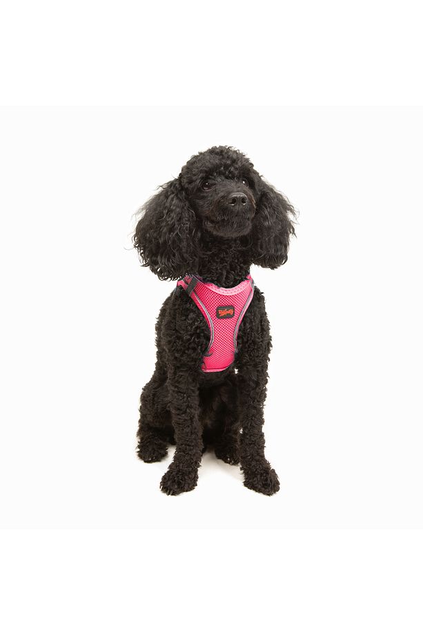 Kedi Köpek Air-Mesh Göğüs Tasması ve Gezdirme Sevk Kayışı Seti 2Sİ1 ARADA Neon Pembe - 8