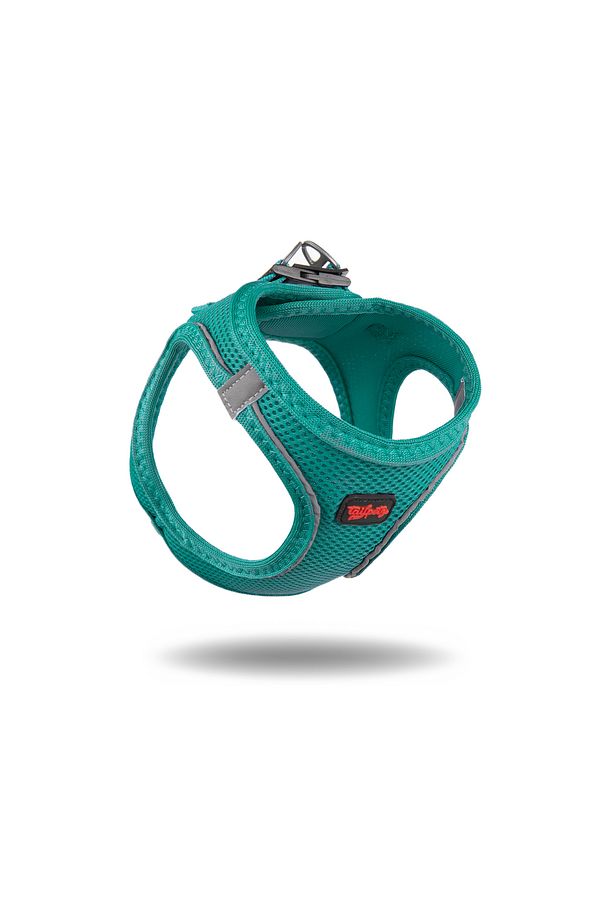 Kedi Köpek Air-Mesh Göğüs Tasması ve Gezdirme Sevk Kayışı Seti 2Sİ1 ARADA Yeşil - 4