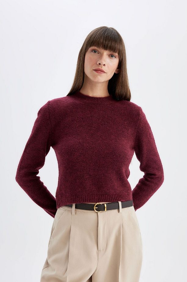 Regular Fit Bisiklet Yaka Premium Basic Düz Crop Triko Kazak C9047ax24wn - 4