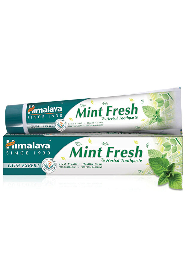 Mint Fresh T/P 100Ml