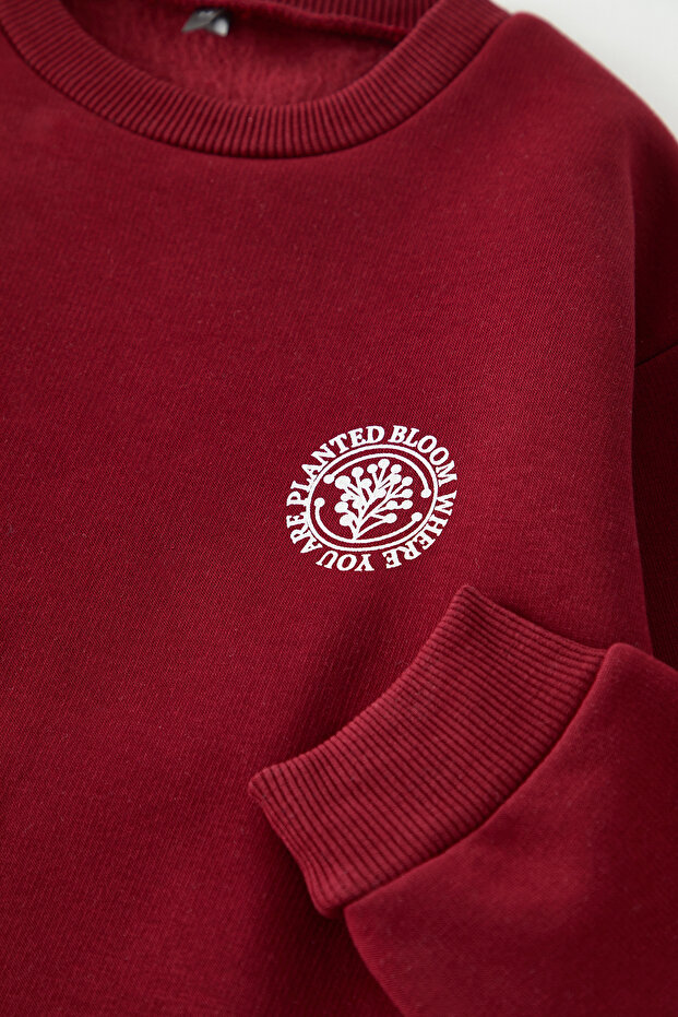 Bordo Sırt Baskılı Erkek Çocuk Düz Örme Mini Me Sweatshirt TKDAW25SW00115 - 3