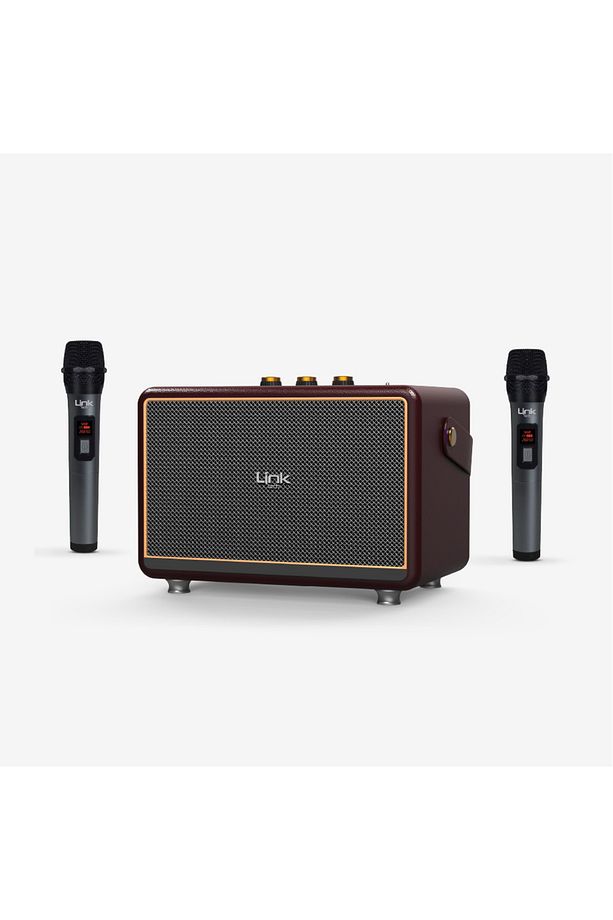 M407 Premium Çift Mikrofonlu 50W Retro Bluetooth Radyo Hoparlör - 1