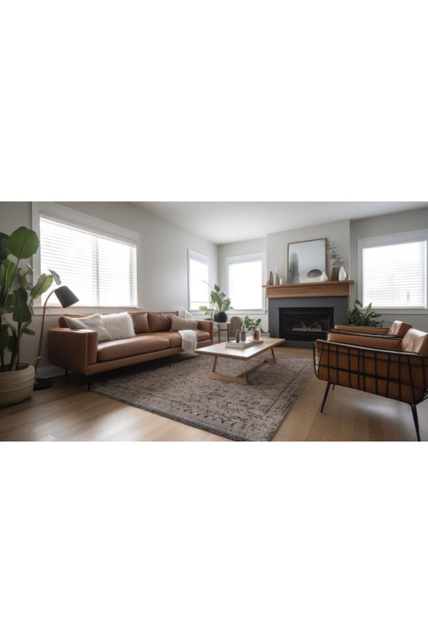 İskandinav Toz Tutmayan Halı Balıatı Ba08b - 3