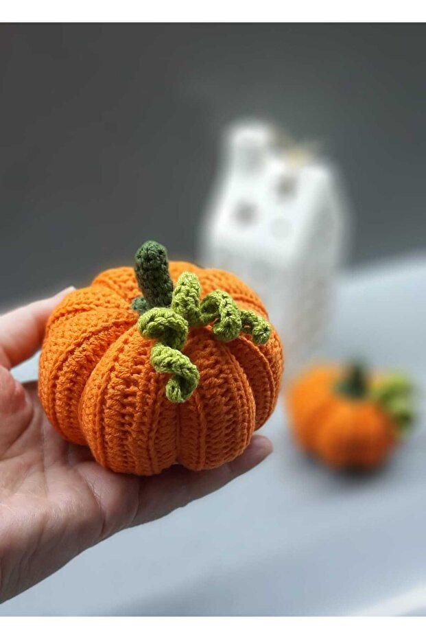 El Örgüsü Dekoratif Balkabağı 2' li Set - 4