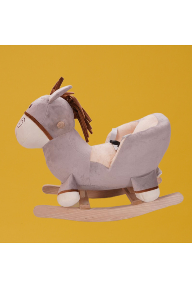 Galen Sallanan Eşek - 6