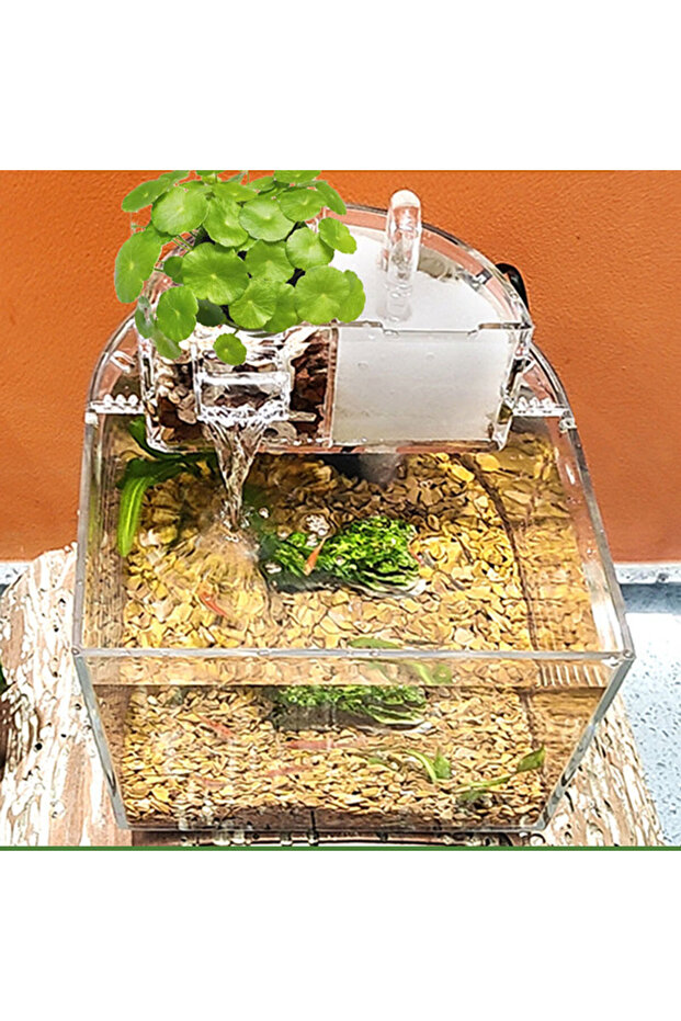 Fish aquarium tank - 1