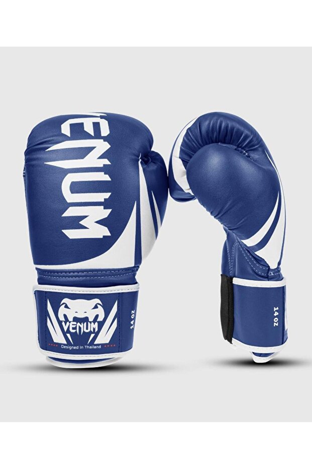 Challenger 2.0 Boxing Gloves - 1