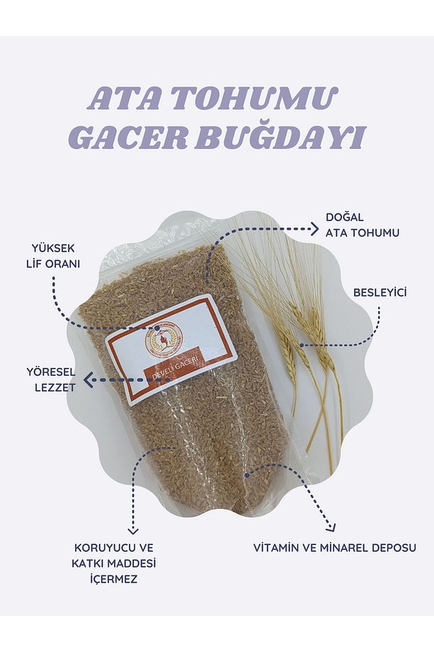 Organik Ata Tohumu Develi Gacer Buğdayı 500g - 6