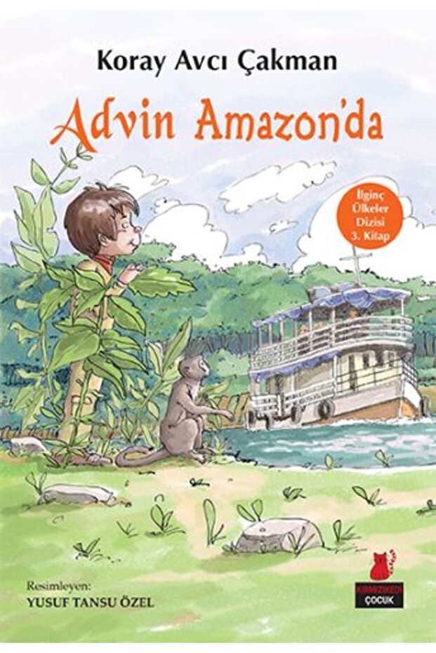 The Curious Countries Array 3. The Book - Advin at Amazon