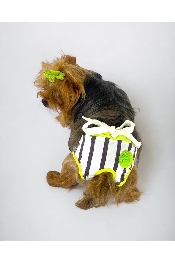 Lime Fuzz Kemique's Secret Köpek İç Çamaşırı Regl Külot Don - 3