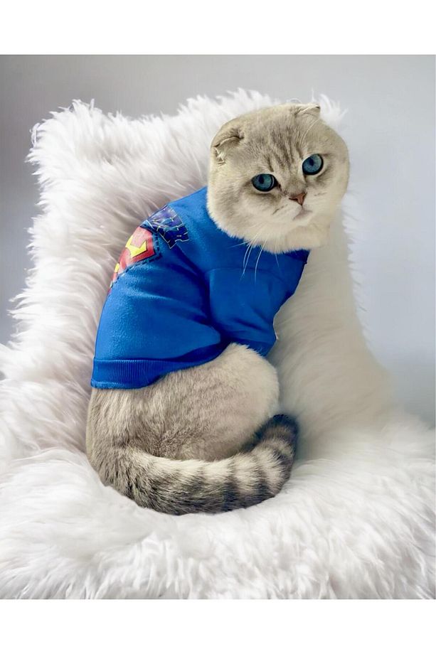 Mavi Superman Kedi Tişörtü Kedi Kıyafeti Kedi Elbisesi - 5