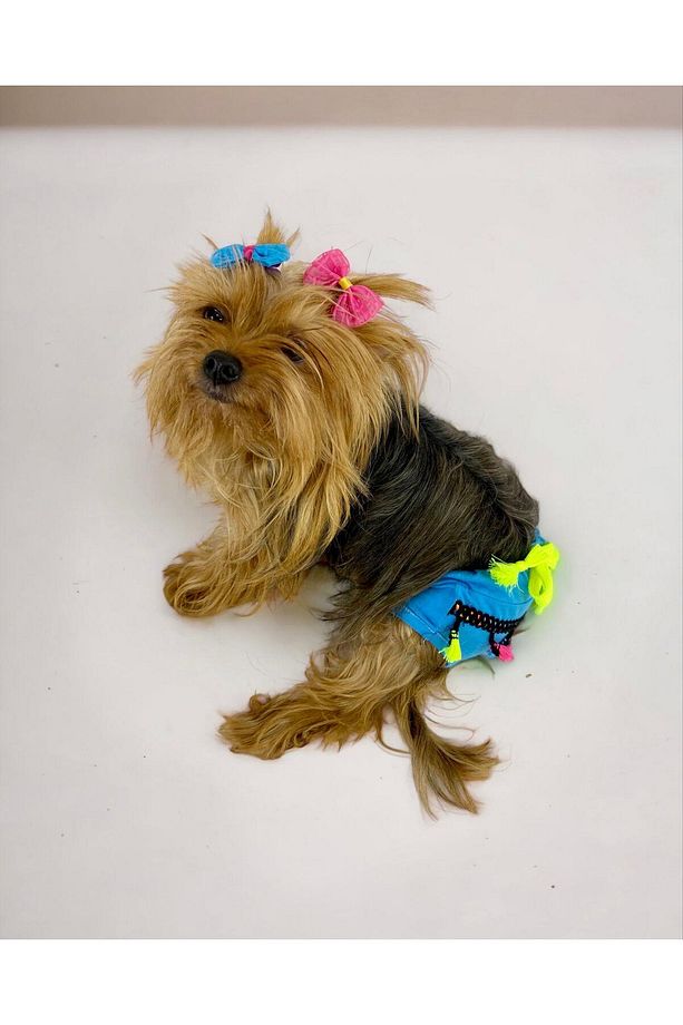 Blue Tufty 's Secret Köpek Iç Çamaşırı Regl Külot Don - 1