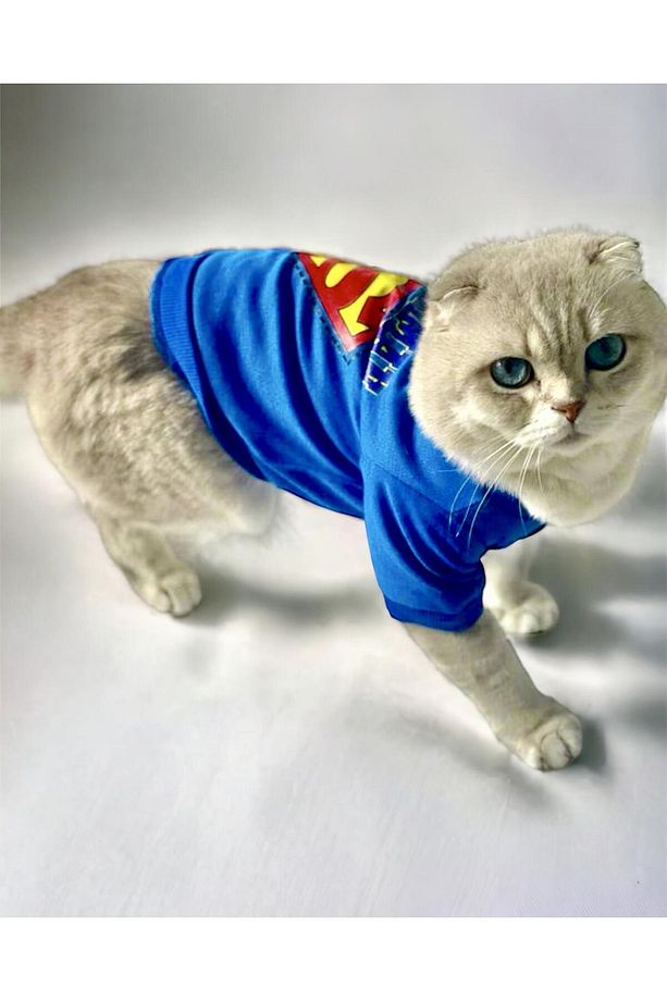 Mavi Superman Kedi Tişörtü Kedi Kıyafeti Kedi Elbisesi - 3
