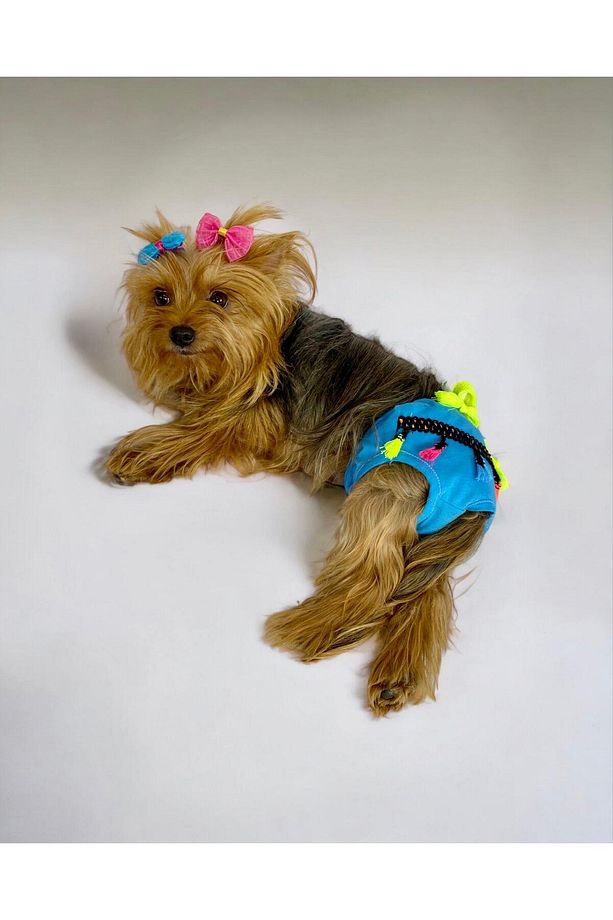 Blue Tufty 's Secret Köpek Iç Çamaşırı Regl Külot Don - 5