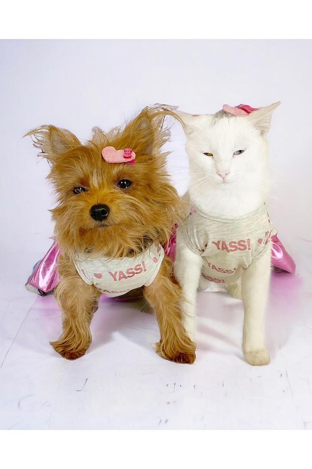Yassi Glitz Köpek Elbisesi, Köpek Kıyafeti - 7