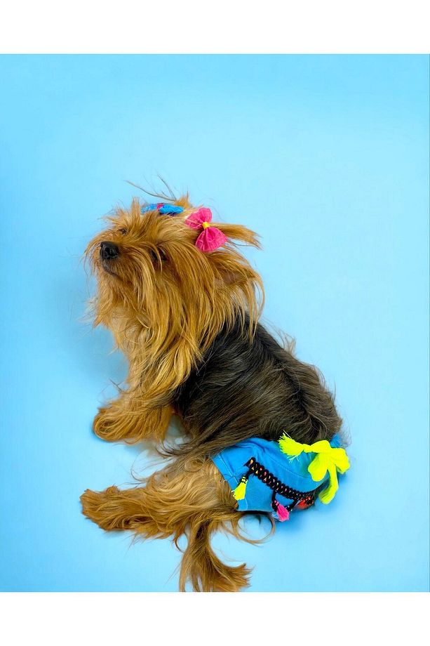 Blue Tufty 's Secret Köpek Iç Çamaşırı Regl Külot Don - 2