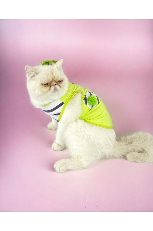 Lime Fuzz Atlet Kedi Kıyafeti Kedi Elbisesi - 3