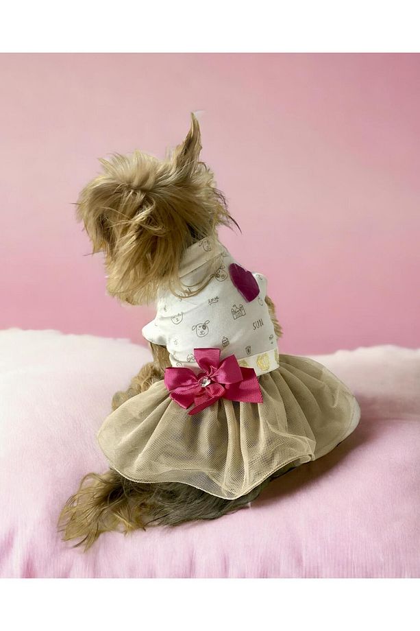 Creamy Fuchia Tütülü Köpek Elbisesi, Kıyafeti Tutu - 5