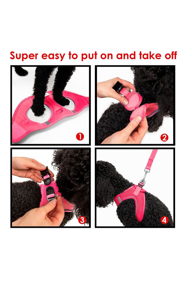 Kedi Köpek Air-Mesh Göğüs Tasması ve Gezdirme Sevk Kayışı Seti 2Sİ1 ARADA Neon Pembe - 7