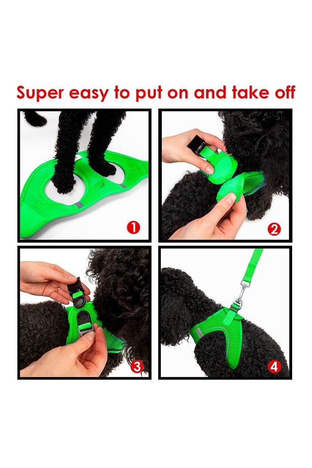 Kedi Köpek Air-Mesh Göğüs Tasması ve Gezdirme Sevk Kayışı Seti 2Sİ1 ARADA Neon Yeşil - 7