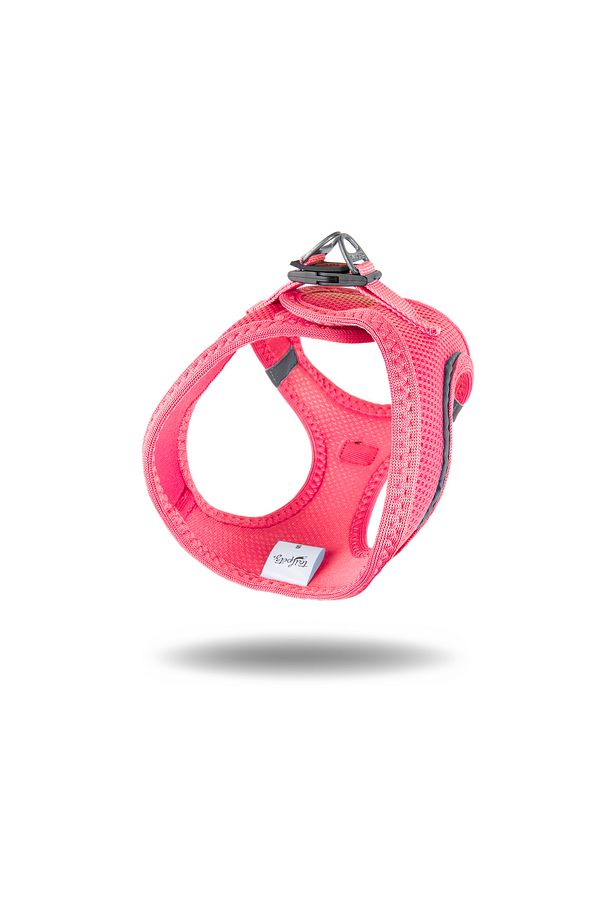 Kedi Köpek Air-Mesh Göğüs Tasması ve Gezdirme Sevk Kayışı Seti 2Sİ1 ARADA Neon Pembe - 6