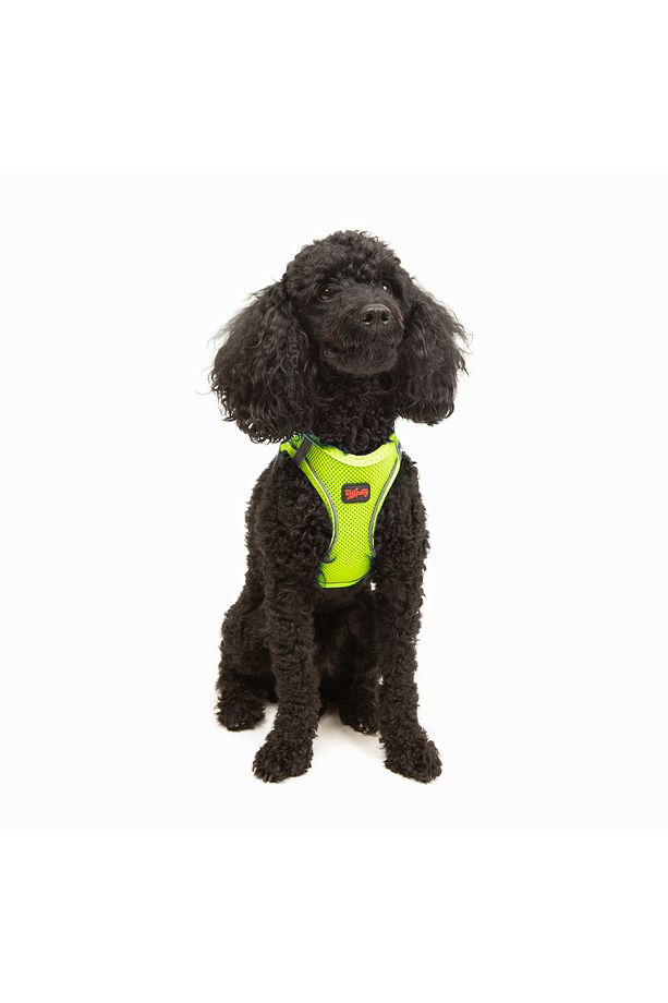 Kedi Köpek Air-Mesh Göğüs Tasması ve Gezdirme Sevk Kayışı Seti 2Sİ1 ARADA Neon Sarı - 8