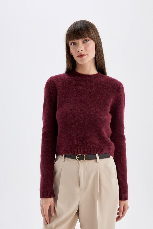 Regular Fit Bisiklet Yaka Premium Basic Düz Crop Triko Kazak C9047ax24wn - 3