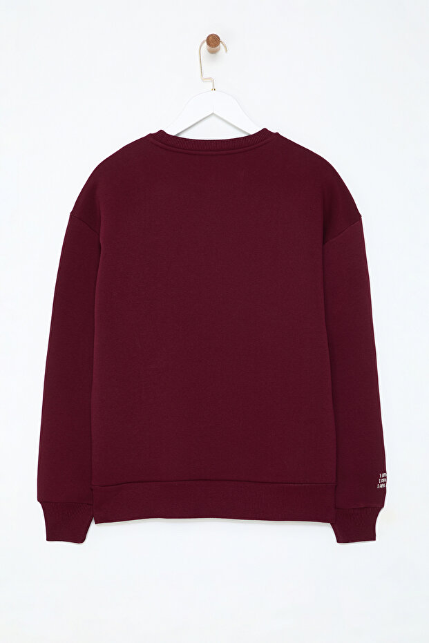 Bordo Nakışlı Regular/Normal Kalıp Kalın İçi Polarlı Örme Sweatshirt TWOAW25SW00176 - 8