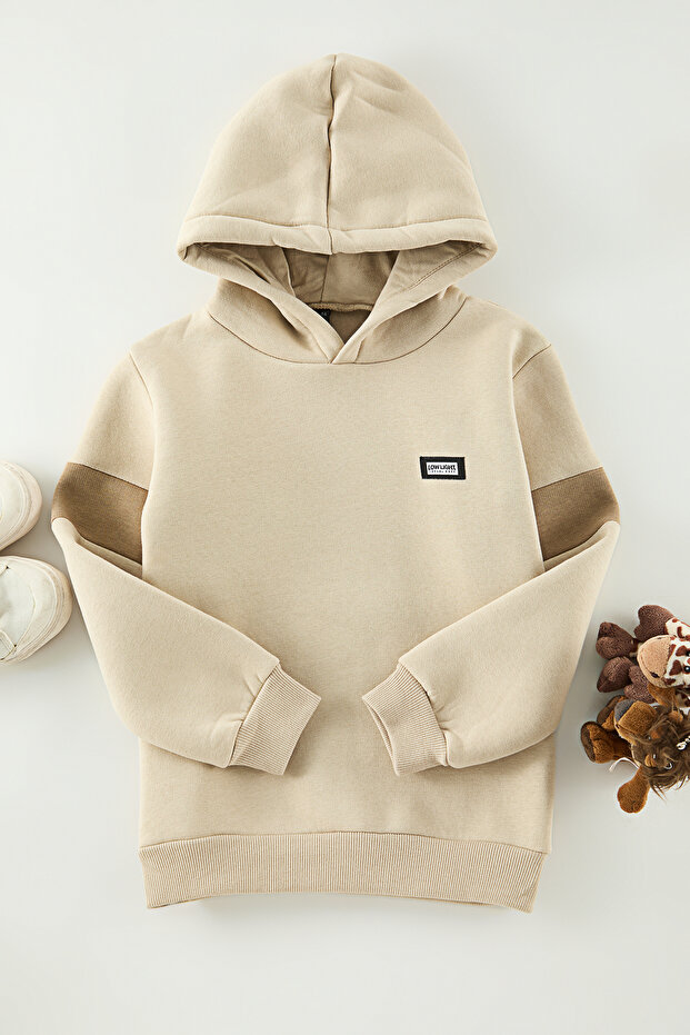 Beige Hooded Boy's Color Blocked Plain Knitted Mini Me Sweatshirt Tkdaw25Sw00110
