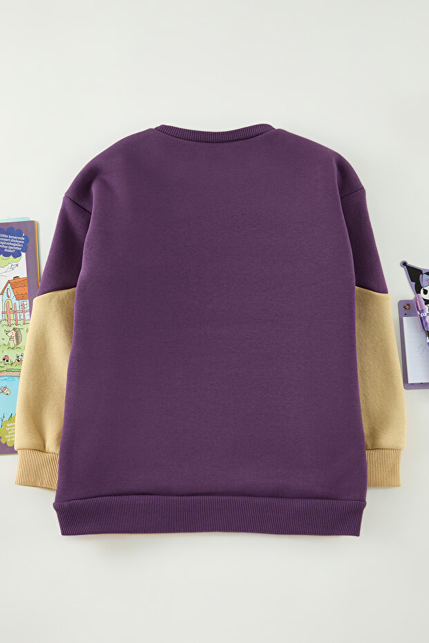 Mor Erkek Çocuk Düz Örme Mini Me Sweatshirt TKDAW25SW00123 - 3