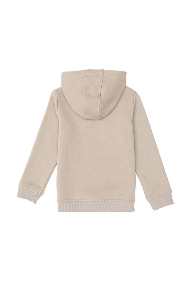 Erkek Çocuk Taş Basic Kapüşonlu Sweatshirt 50295161-vr049 - 4