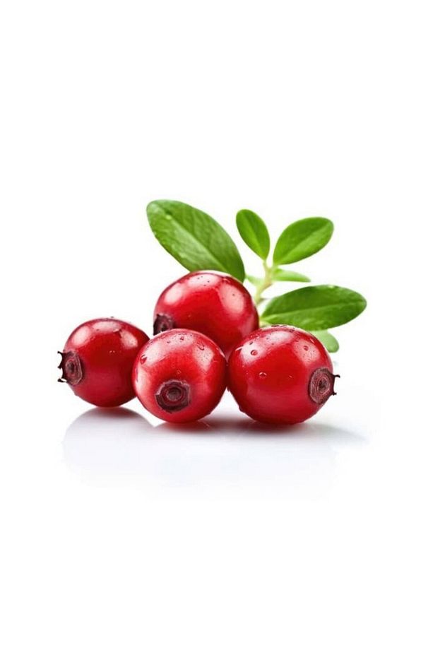 Kızılcık Suyu 750ml E, K, C Vitamini, Manganez, Potasyum Ve Lif Gibi Vitamin Ve Mineraller Içerir - 5