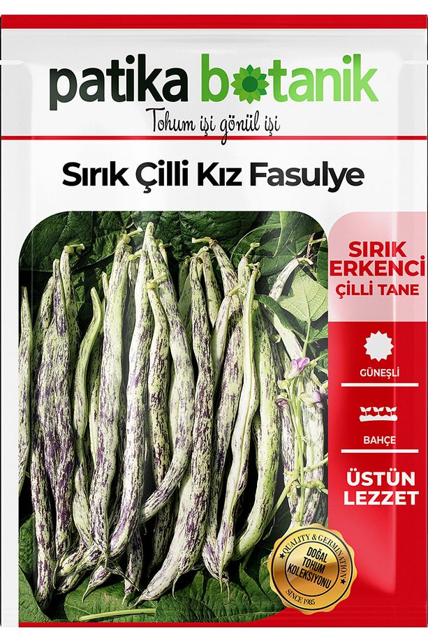 50 Adet Sırık Çilli Kız Fasulye Tohumu - 2