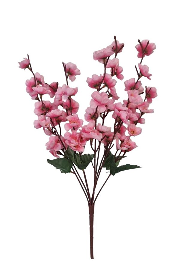 9 Dal Bahar Dalı - 1