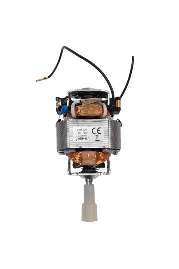 FL163 - FL177 - FL187 Sposa Blender İçin Motor - 1