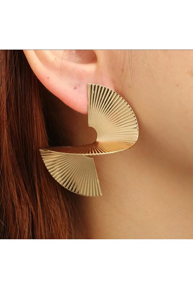 -Care Trend Geometric S Shape Steel Earrings