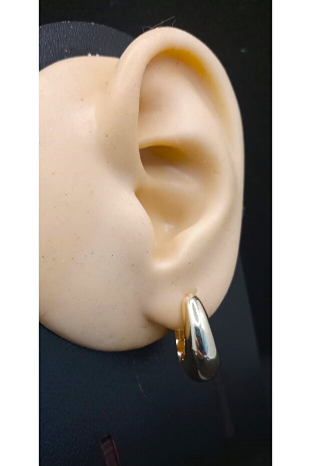 Women's Gold Color Drop Earrings