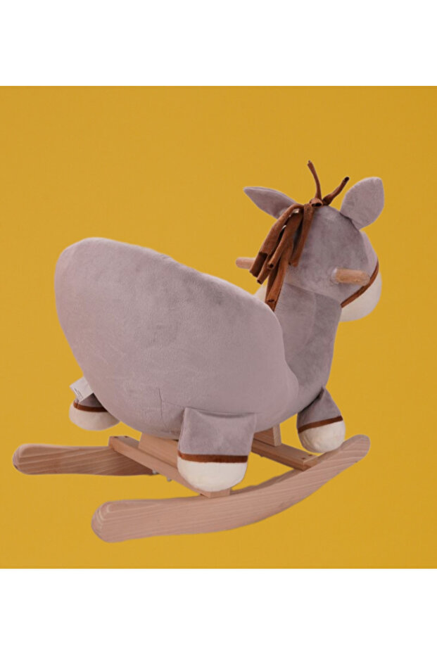 Galen Sallanan Eşek - 7