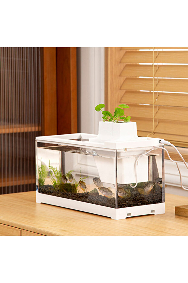 Aquarium fish tank mini - 5
