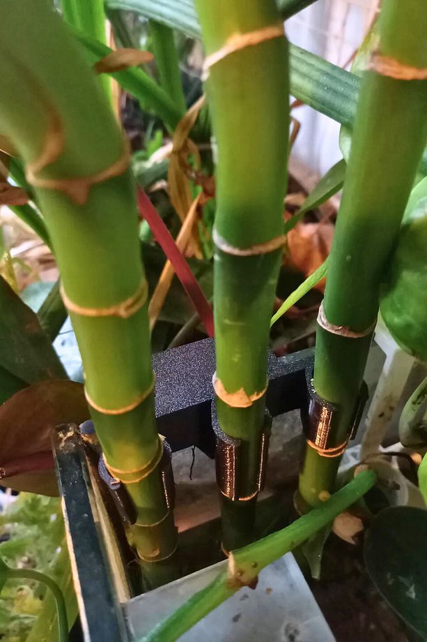 Bambu Tutucu 1 Adet Akvaryumda Bambu Bitki Yetiştirme Aparatı, Bambu Klipsi,Akvaryum Bambu Tutucu - 2