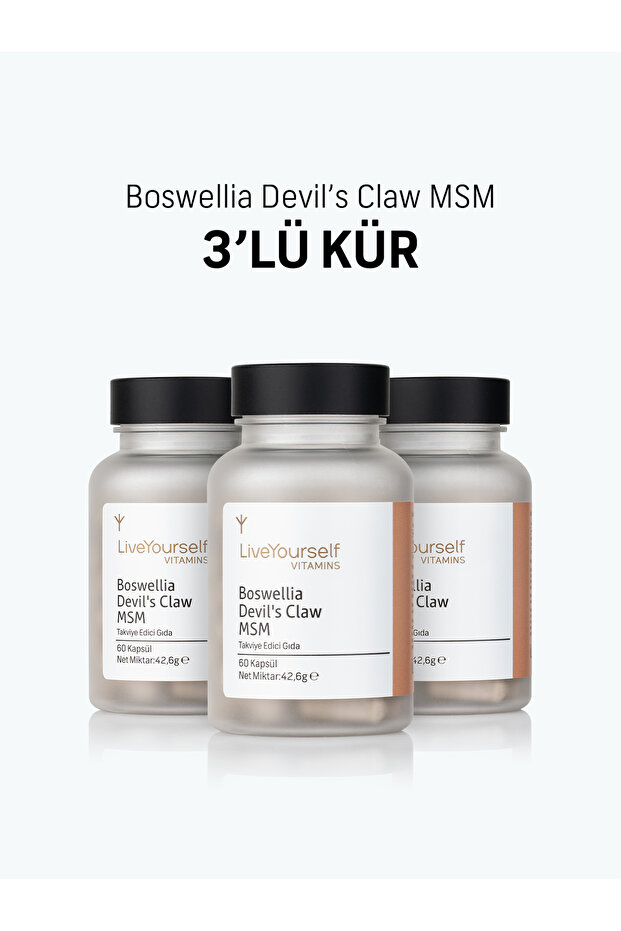 Boswellia Devil's Claw Msm 3 lü Kür - 1