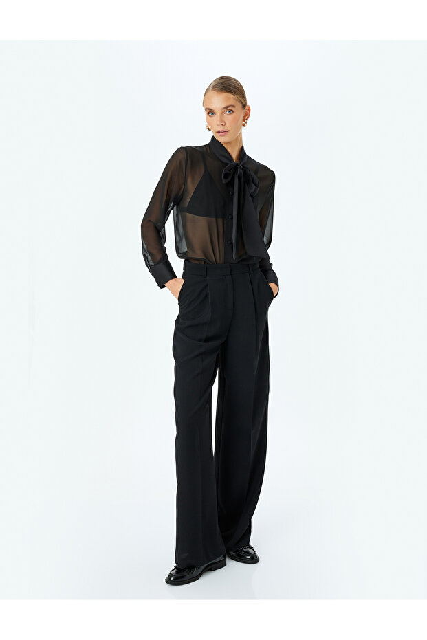 Long Sleeve Scarf Neck Sheer Chiffon Blouse
