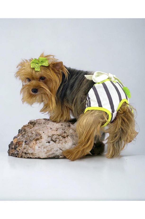 Lime Fuzz Kemique's Secret Köpek İç Çamaşırı Regl Külot Don - 2