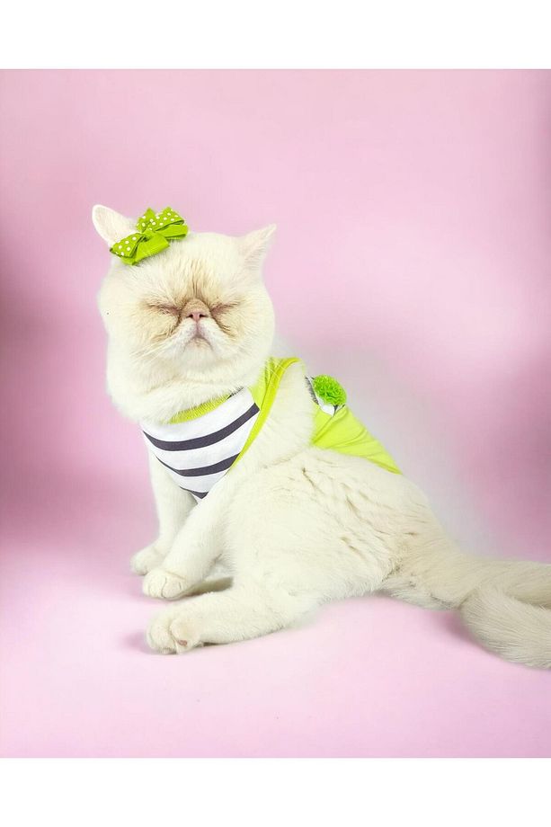 Lime Fuzz Atlet Kedi Kıyafeti Kedi Elbisesi - 2