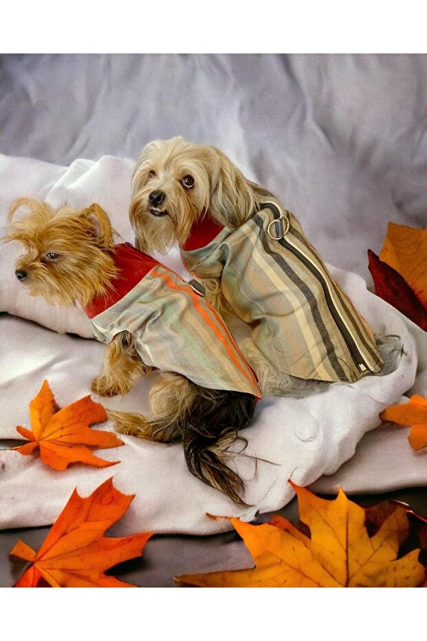 Stripe Orange Water Repellent Dog Raincoat
