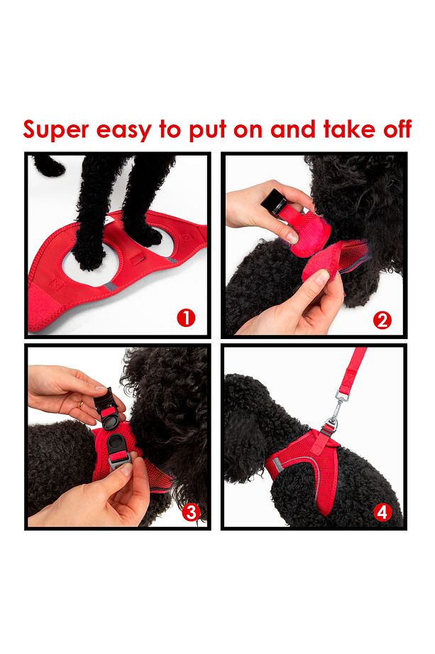 Kedi Köpek Air-Mesh Göğüs Tasması ve Gezdirme Sevk Kayışı Seti 2Sİ1 ARADA Parlak Kırmızı - 7