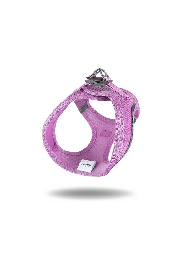 Kedi Köpek Air-Mesh Göğüs Tasması ve Gezdirme Sevk Kayışı Seti 2Sİ1 ARADA Lila - 6